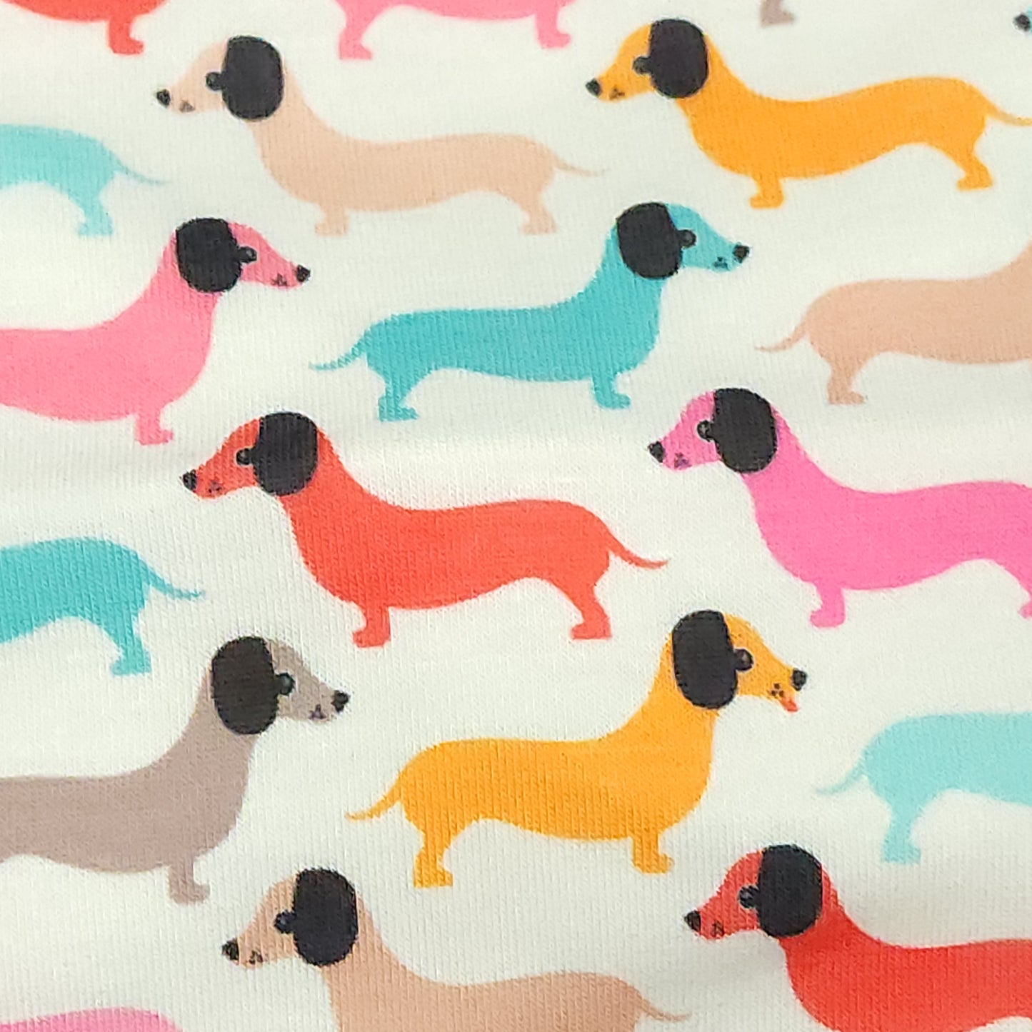 Retro Rainbow Dachshund Dog Print Headband