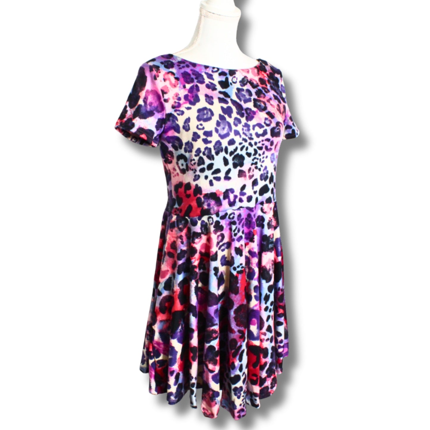Women's Leopard Print Dress